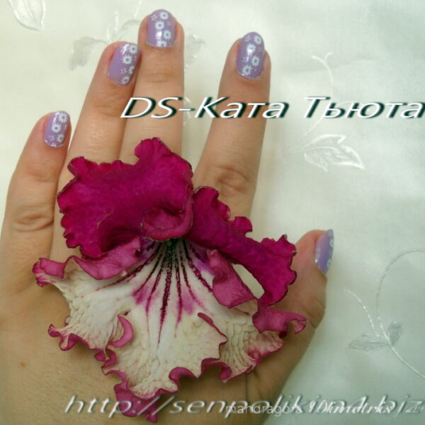 dscn0010_932 dscn0010_932