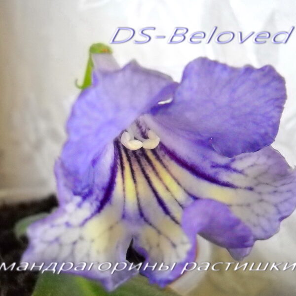 dscn3754_1_553