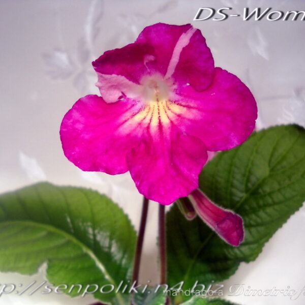 dscn5167_132