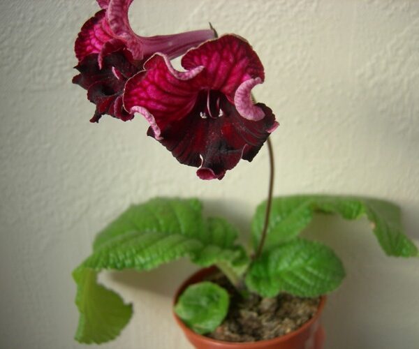 dscn8831_171