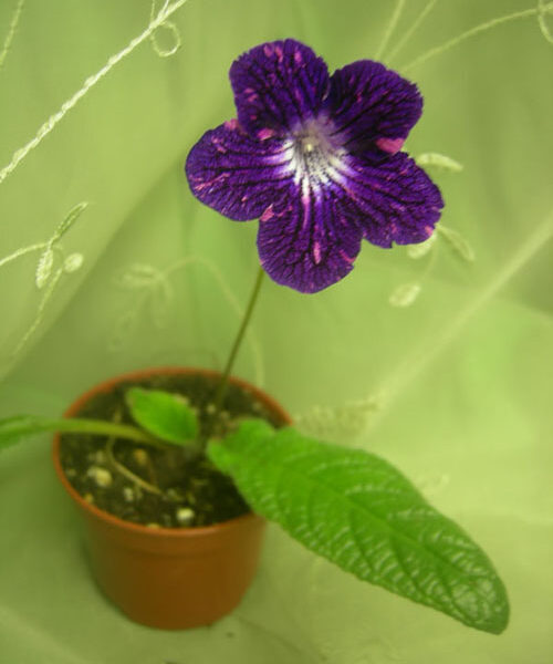 dscn9804_704
