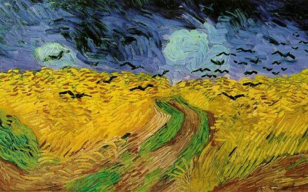 field_crows_888