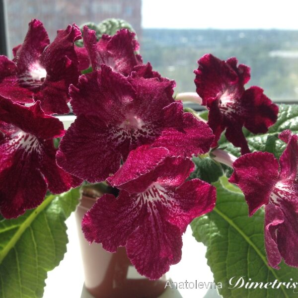 img_0838_148
