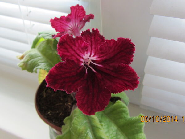 img_0893_119 img_0893_119