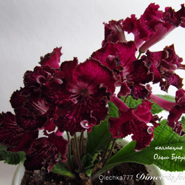 img_6742_841