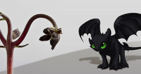 nightfury_14_214