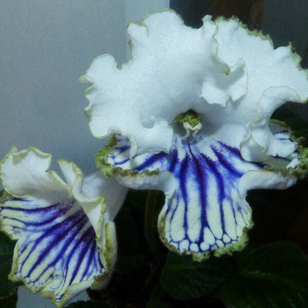 p1020059_205