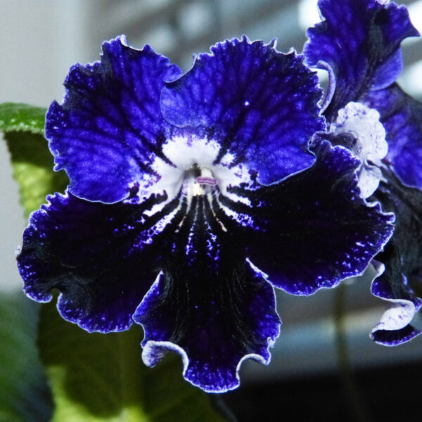 p1020257_164