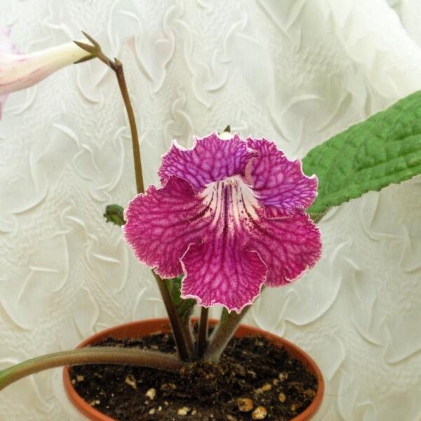 pc286712_800x600_909