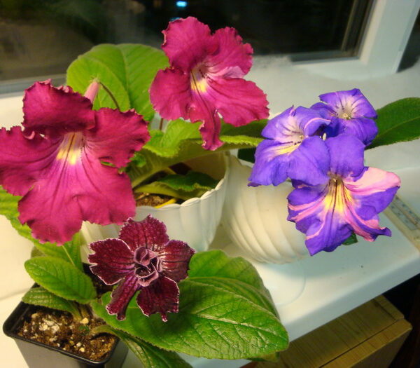 resize_of_dsc08782_857