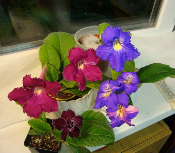 resize_of_dsc08784_106