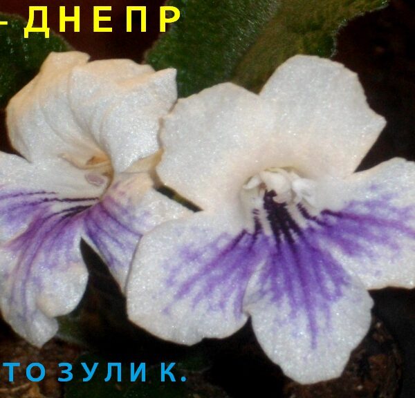 sam_6280_801